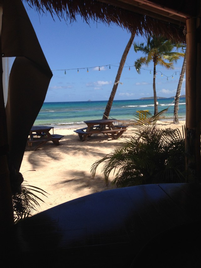 We had some lunch at Iggie's Beach Bar in Bolongo Bay
