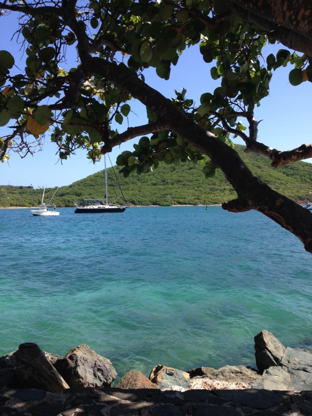 Beautiful Saturday on the east end.